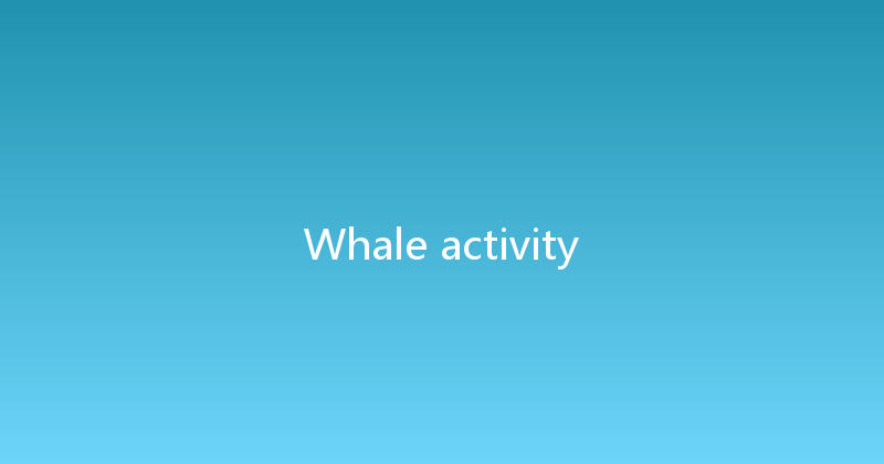 Whale activity 