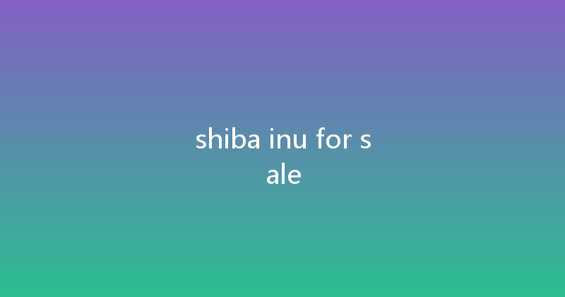 shiba inu for sale 